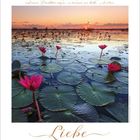"Der nützlichsten Welt Müh’ schien wenig und ein Paradies auf einer Lotosblüte ruhen, wo man liebt." Darunter: Liebe. Szenario: Seerosen bei Sonnenuntergang.