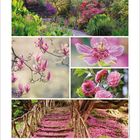 4. Kalender mit verschiedenen Blumenbildern; Magnolien, Kamelien und Gartenansicht in kräftigen Farben und Naturtönen.
