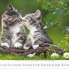 Zwei kleine Kätzchen sitzen auf einem Baumstamm und berühren sich mit der Nase. Darunter ein Kalender für den April.