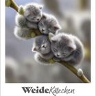 Im März 2027 ziert ein Kalenderblatt. Weidekätzchen ähneln niedlichen, schlafenden Kätzchen auf einem Zweig.