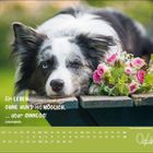 Ein LEbEN OHNE HUND ist MÖGLICH, ... aber SINNLOS! Unbekannt. Ein Hund liegt neben einem Blumenstrauß. Unten ein Aprilkalender.