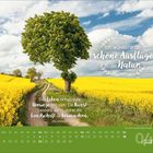 Text: "Ich wünsche dir schöne Ausflüge in die Natur." Zen-Weisheit über Umwege und Kunst. Kalender mit gelbem Feld.