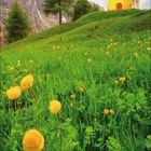Kalender, April 2021. Verschneite Berge, grüne Wiese mit gelben Blumen, gelbe Kirche auf Hügel.