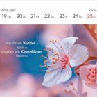 „Was für ein Wunder – leben – umgeben von Kirschblüten.“ Monatsübersicht April 2027, ein zartes Kirschblütenfoto.
