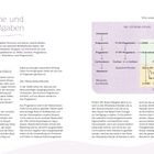 "Hormone und ihre Aufgaben", Übersicht zu Hormongruppen: DHEA, Cortisol, Progesteron, Östrogene, Testosteron, Pregnenolon. Diagramm: Steroid-Pfade.