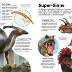 Super-Sinne: An Dinosaurierfossilien findet man Hinweise, wie die Tiere ihre Umgebung wahrnahmen. Illustrationen von Dinos.