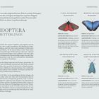 "FLÜSSE UND BÄCHE" steht groß. Text beschreibt Insekten an Flüssen, z.B. Eintagsfliegen- und Steinfliegennymphen. Illustrationen zeigen Larven.