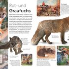 Texte: "Rot- und Graufuchs", "Der Rotfuchs kann... hunderten Metern Entfernung hören.", "Fuchsjagd", "Flauschige Wärme", "Stadtstreicher", "Ist das ein Rotfuchs?", "Graues Fell", "Hoch hinaus", "Warten auf Futter". 
Visuelle Beschreibung: Bilder von Füchsen, Jagdszenen und ein neugieriger Fuchs an einem Zaun.