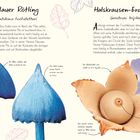 Blauer Rötling und Halskrausen-Erdstern beschrieben. Links blaue Pilze, rechts beiger Pilz mit geöffnetem, sternförmigem Erscheinungsbild.