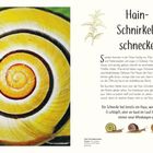 Titel: Hain-Schnirkelschnecke. Text beschreibt die spiralförmigen Schneckenhäuser und das Verhalten bei verschiedenen Wetterbedingungen. Links ein Foto eines gelben Schneckenhauses. Unten zwei kleine Schneckenillustrationen.