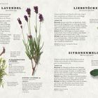 Texte: Lavendel, Liebstöckel, Zitronenmelisse. 
Illustration: Pflanzenabbildungen mit Beschreibungen.