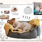 Schlafenszeit: Tipps zur Gestaltung eines Hundebetts. Bilder zeigen Hunde in gemütlichen Betten und eine Hundebox.