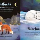 "Rotfuchs": Schlaues Raubtier, jagt nachts. "Polarfuchs": Lebt in eisiger Welt. Illustrationen von Füchsen in verschiedenen Umgebungen.