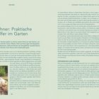 **Hühner: Praktische Helfer im Garten**. Küken. Seit dem ersten "Findel-Küken" sind immer mal welche bei mir eingezogen.