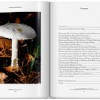 Linke Seite: Ein weißer Pilz im Wald. Rechte Seite: Inhaltsverzeichnis mit Themen über Pilze und Kunst.