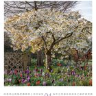 Kalenderblatt mit April-Datum. Blühender Baum und bunte Tulpen in einem Garten.