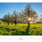 Kalender, Monat April. Blühende Kirschbäume auf einer grünen Wiese, Sonnenstrahlen brechen durch die Äste.