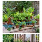 Kalenderseite für April mit Pflanzen und Mini-Gewächshaus. Verschiedene bunte Blumen und grüne Gemüsepflanzen.