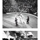 "Gina Lollobrigida, April Kalender. Schwarz-weiß Fotos: Porträt einer Frau, Zirkusshow, elegante Dame in Menschenmenge."