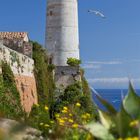 Kalender zeigt April; Leuchtturm von Forte Stella, Elba, Italien; blauer Himmel, Seevögel und grüne Vegetation umgeben ihn.