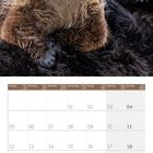 Kalenderblatt April 2027. Zwei Otter mit nassem Fell schauen direkt nach vorne.