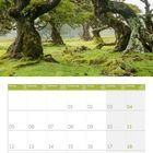 Kalender für April 2027, Mo–So, Datumstage von 01 bis 30. Oben moosbedeckte Bäume in einer grünen Landschaft.