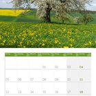 Kalenderblatt April 2027 mit Wochentagen in verschiedenen Sprachen. Blühender Apfelbaum auf einer Wiese mit Löwenzahn.