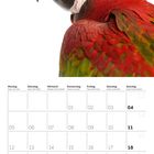Kalender für April 2027. Großaufnahmen eines roten Papageis auf weißem Hintergrund.