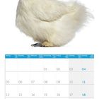 Kalenderseite: Monat April 2027. Oben Bild eines weißen Seidenhuhns mit blauem Ohrfleck.