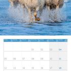 Kalenderseite für April 2027. Oben: Fünf weiße Pferde galoppieren durch Wasser.