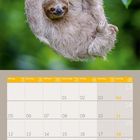 Text: "Ich bin so langsam, ich könnte gemalt statt geblitzt werden." Ein Faultier hängt an einem Ast. Kalender für April 2027.