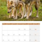 Kalender für April 2027, Woche beginnt mit Montag. Oben vier Wölfe im Wald.