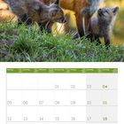 Monatstabelle April 2027. Oberhalb sind ein Fuchs und zwei Jungtiere auf einer Wiese.