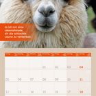 "Es ist mir eine Lebensfreude, dir die schlechte Laune zu verderben." Kalender für April 2027. Alpaka im Hintergrund.