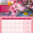 Text: "Gerade als die kleine Raupe dachte, die Welt wäre zu Ende, verwandelte sie sich in einen Schmetterling." 

Ein Kalender mit rosa Blüten und einem Schmetterling für April 2027.