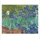 April. Eine Illustration von Irisblumen in unterschiedlichen Blautönen und einer weißen Blüte im grünen Garten.