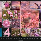 „4 Colours of Nature 2023“ in großen rosa und weißen Buchstaben. Fotos von Tieren und Pflanzen in Rosa- und Lilatönen.