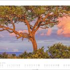 Texte: "APRIL, 1 2 3 4, 5 6 7 8 9 10 11, 12 13 14 15 16 17 18, 19 20 21 22 23 24 25, 26 27 28 29 30". Ein Leopard ruht auf einem Baum, Himmel im Hintergrund.