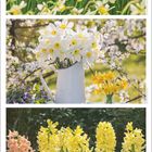 "April 1 2 3 4 5..." Drei Bilder: Narzissenfeld, weiße Narzissen im Krug, gelbe und rosa Hyazinthen.