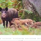 Kalender mit Wildschweinen im Wald, darunter die Zahl 4 und die Tageszahlen 1 bis 30 in einer Reihe.