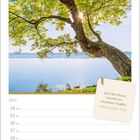 Zitat: "Auch der Ozean besteht aus einzelnen Tropfen." - William Butler Yeats. Kalender Juni. Baum am Seeufer.