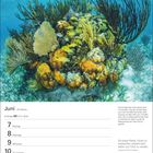 Kalenderseite für Juni mit einem Unterwasserfoto von Korallen und Fischen. Zitat von Jacques-Yves Cousteau.