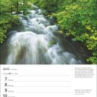 Juni, 23. Woche, Zwillinge 21.5–20.6. Über 32,7 km fließt die Trieb von ihrer Quelle. Ein Fluss in einem grünen Wald.