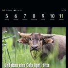 "Und dazu eine Cola light, bitte." Kalender mit Tagen vom 5. bis 11. Juli. Ein Büffel frisst Gras.