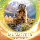 „MURMELTIER Erholung. Überprüfe deine grundlegende Einstellung zum Leben...“, zeigt ein Murmeltier in einer leuchtenden Landschaft.
