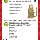 1. Biologische Menschenaffen: a) Koboldmaki b) Mantelpavian c) Rhesusaffe d) Mensch. Fragezeichen, Illustration Affe.