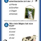 1. Das Lama ist eine südamerikanische Art der ...? a) Pferde b) Giraffen c) Ziegen d) Kamele   
2. Wie viele Mägen hat eine Kuh? a) einen b) zwei c) drei d) vier   
Foto eines Lamas und eine Illustration einer Kuh.