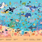 Finde die Flaschenpost. Wie viele Meerjungfrauen kannst du sehen? Wo versteckt sich die lilafarbene Qualle? Finde das gelbe U-Boot.