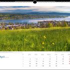 April. Blick vom Echolinde auf Steckborn und den Untersee. Wiese mit gelben Blumen, dahinter Stadt und See. Kalenderansicht.