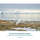 Der Text sagt: "Der Gott, der alle Sprachen versteht, versteht auch alles ohne Worte Gesprochene." Ein Rentier vor Bergen.